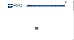 Desktop Screenshot of electricpaddle.com